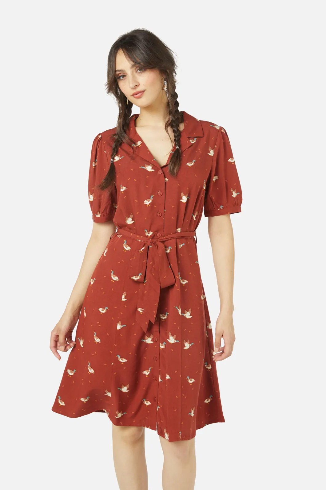 Duck Shirt Dress