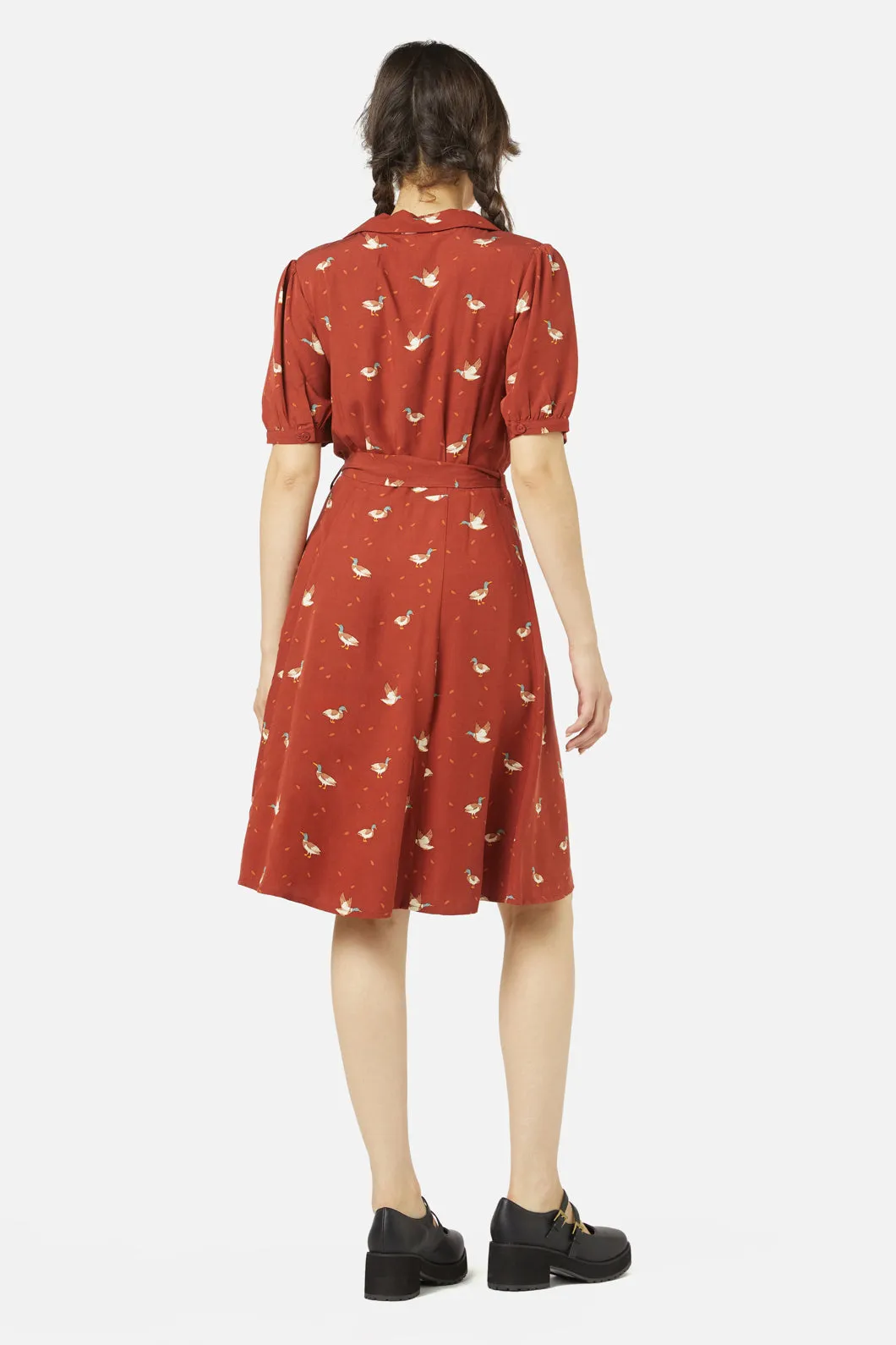 Duck Shirt Dress