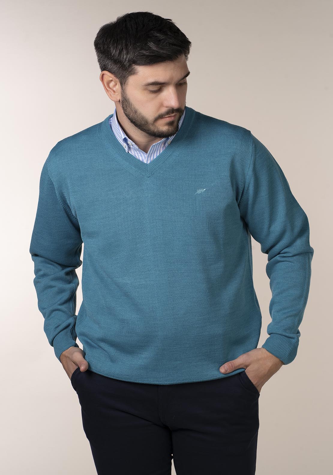 Mens V-Neck Jumper